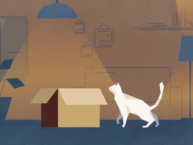 Portfolio Video 8